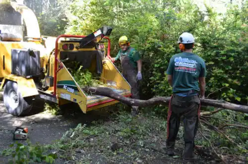 tree services Hartley